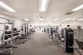 Fitness Center w/ Cardio